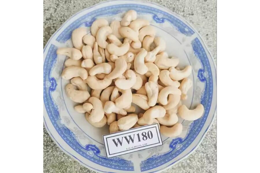 What Is Cashew Nut W180? Comparison with Other Cashew Nuts