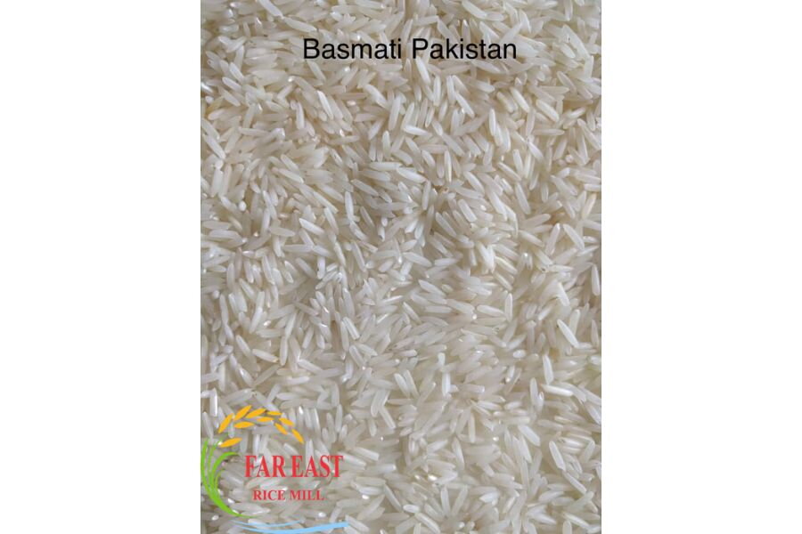 What Is Pakistan Rice? Why Is It Popular in the World?