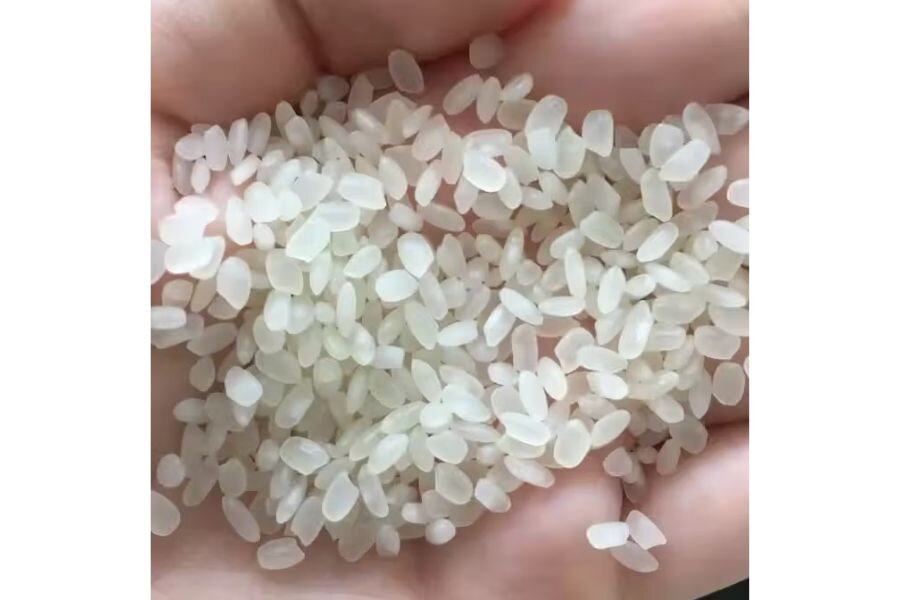 What Is Vietnamese Swarna Rice? Why Is It Famous in the World?