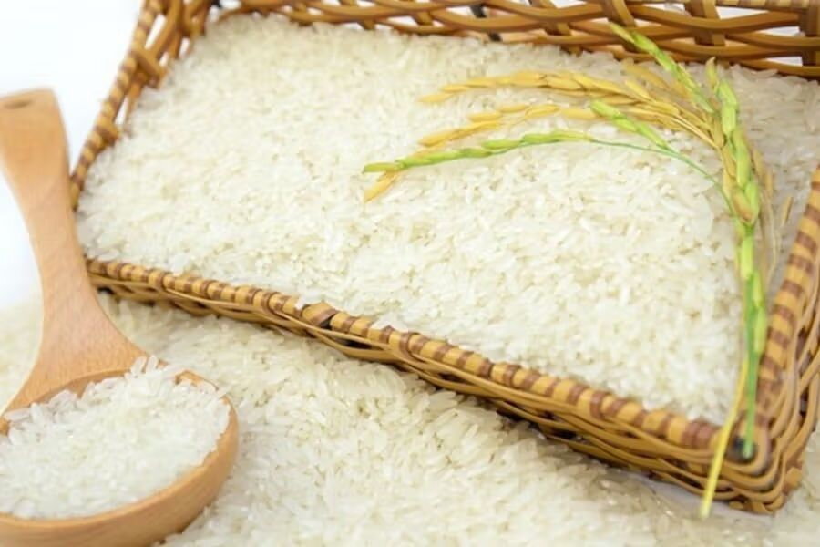 Gạo hữu cơ là gì? So sánh với các loại gạo khác