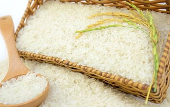 Gạo hữu cơ là gì? So sánh với các loại gạo khác